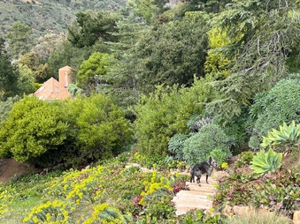 Enlarge photo 110