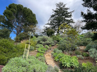 Enlarge photo 113