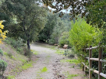 Enlarge photo 116