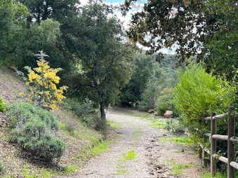 Enlarge photo 117