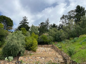 Enlarge photo 122