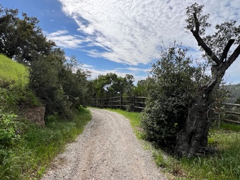 Enlarge photo 126