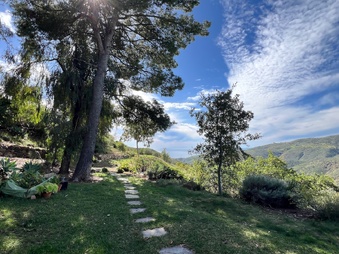 Enlarge photo 78