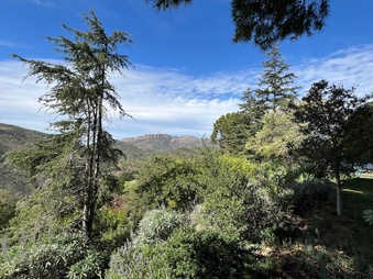 Enlarge photo 79