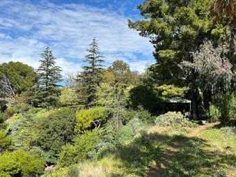 Enlarge photo 81