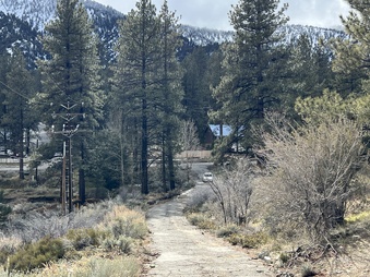 Enlarge photo 5