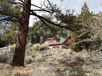 Enlarge photo 6