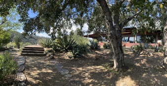 Enlarge photo 79