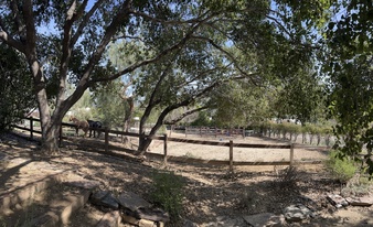 Enlarge photo 82