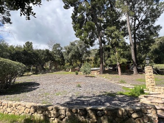 Enlarge photo 61