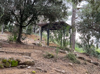 Enlarge photo 39