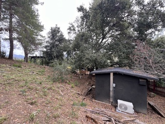 Enlarge photo 42