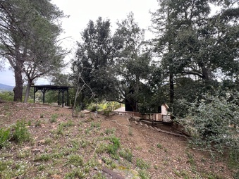 Enlarge photo 43