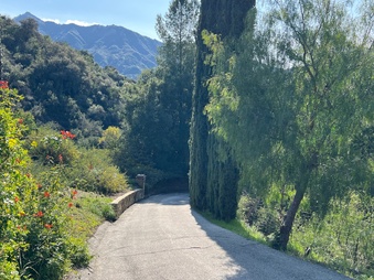 Enlarge photo 9