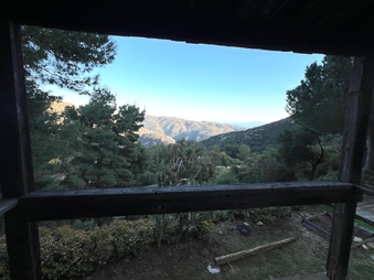 Enlarge photo 65