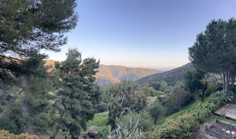 Enlarge photo 69