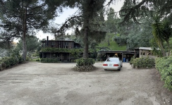 Enlarge photo 113