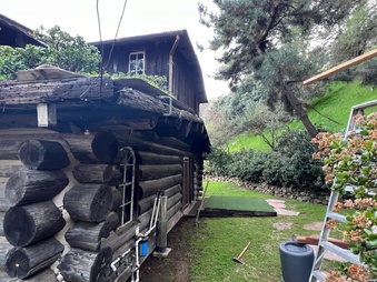 Enlarge photo 41