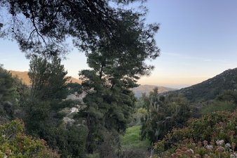 Enlarge photo 114
