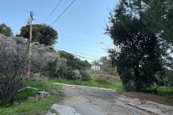 Enlarge photo 5