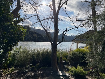 Enlarge photo 24