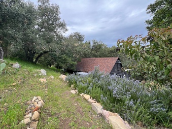 Enlarge photo 82