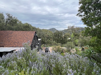 Enlarge photo 83