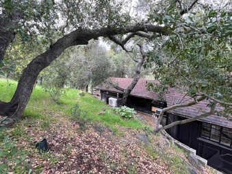 Enlarge photo 84