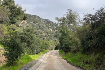 Enlarge photo 5