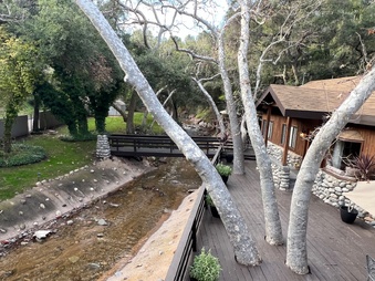 Enlarge photo 32