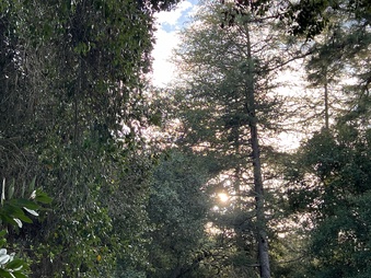 Enlarge photo 61