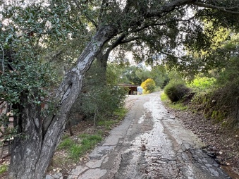 Enlarge photo 58