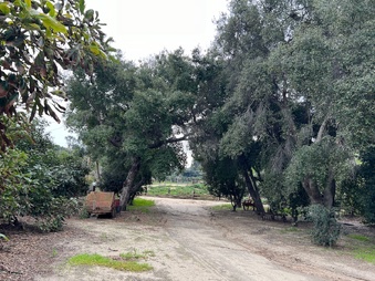 Enlarge photo 3