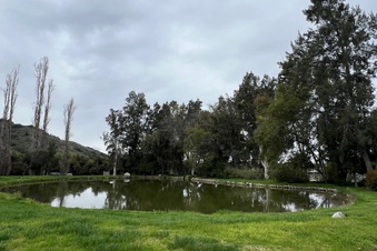 Enlarge photo 13