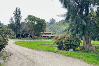 Enlarge photo 16