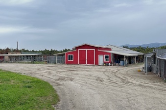 Enlarge photo 17