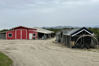Enlarge photo 18