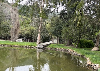 Enlarge photo 22
