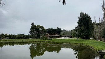 Enlarge photo 24