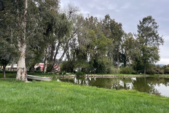 Enlarge photo 23