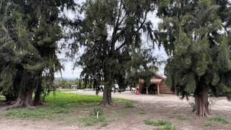 Enlarge photo 32