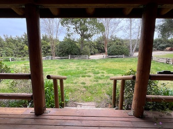 Enlarge photo 49