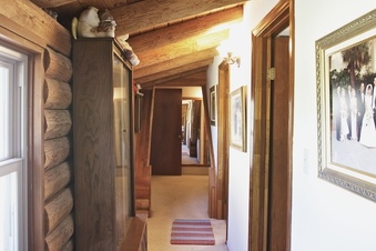 Enlarge photo 84