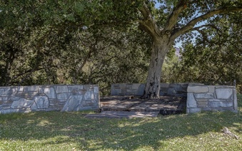Enlarge photo 111