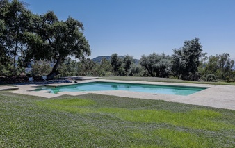 Enlarge photo 110