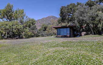Enlarge photo 117