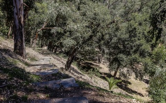 Enlarge photo 119