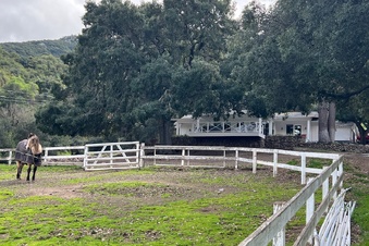 Enlarge photo 17