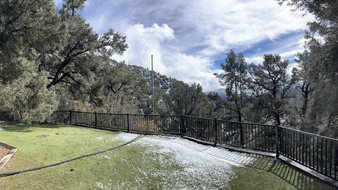 Enlarge photo 90