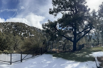 Enlarge photo 97